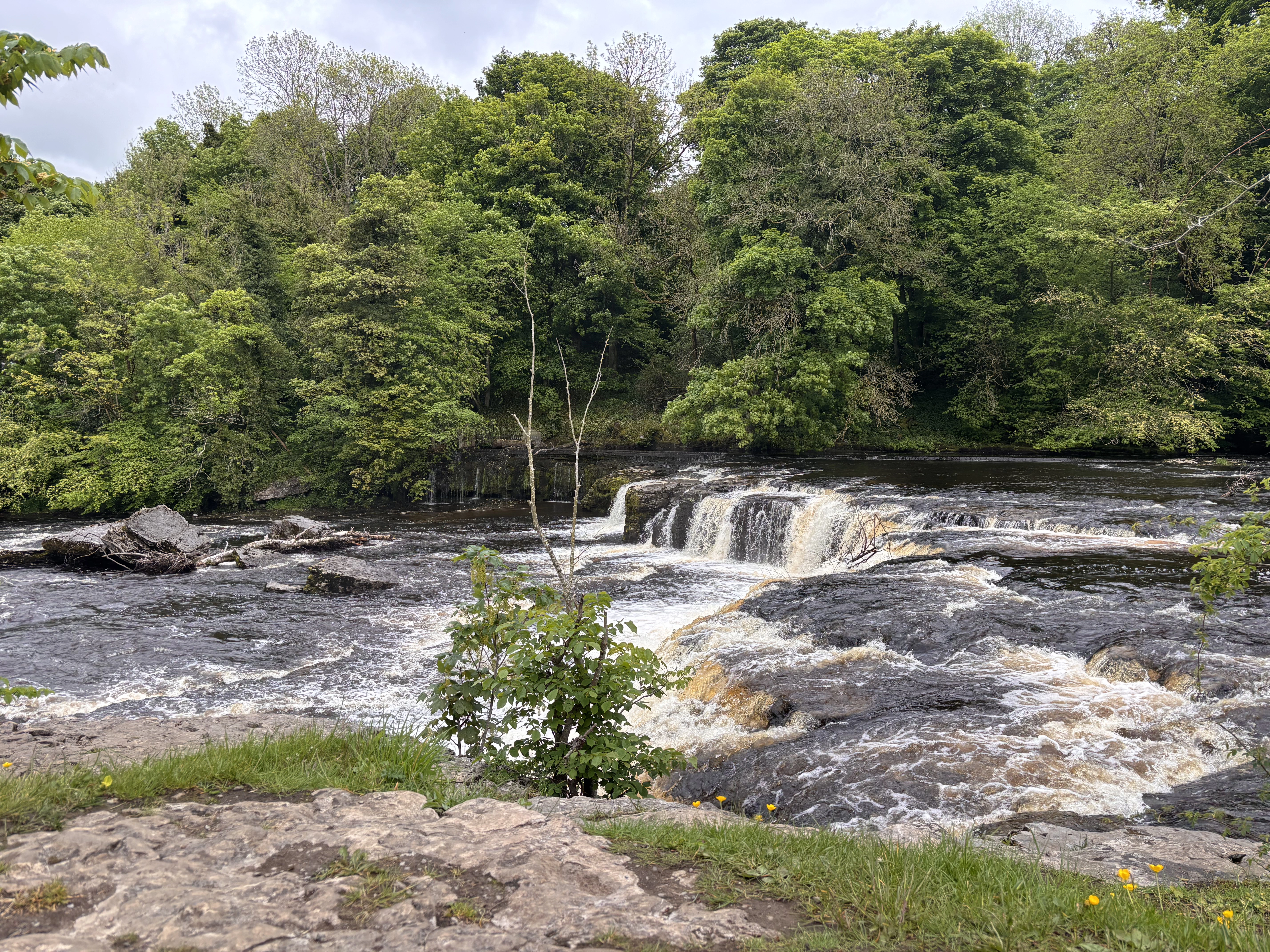 Aysgarth Falls in the Yorkshire Dales, discussed on the UK Travel Planning Podcast