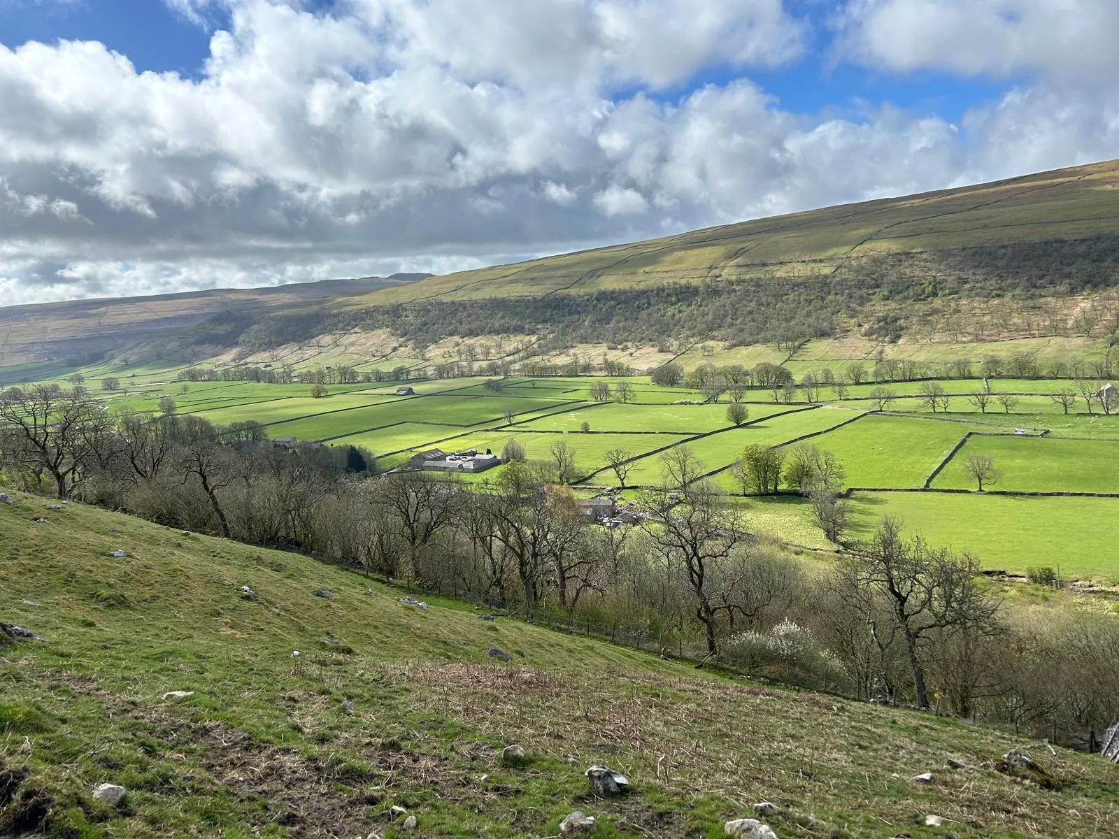 The green pastures of Wensleydale in the Yorkshire Dales